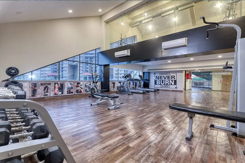 Modern Gymnasium